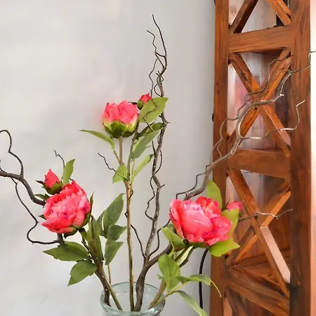 Plaka Elegant Apartment Athen